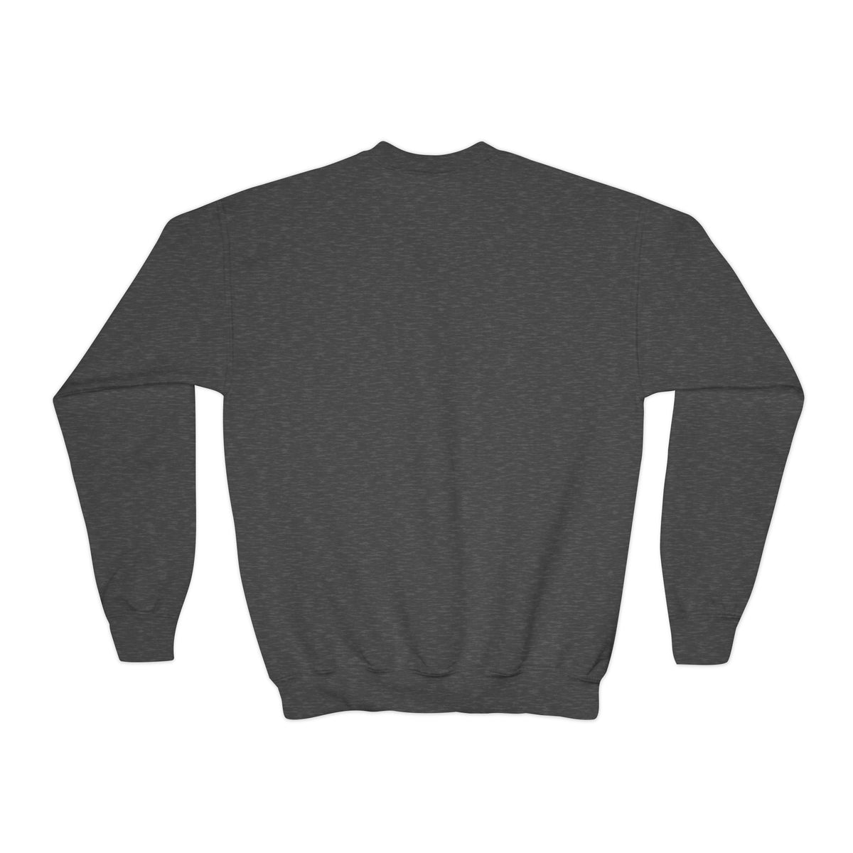 IYSED Youth Premium Crewneck
