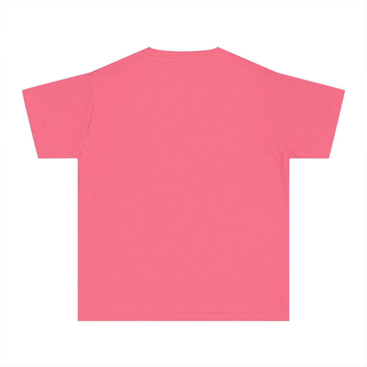IYSED Youth Premium Heavyweight Tee
