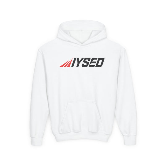 Level Up Hoodie (Youth)