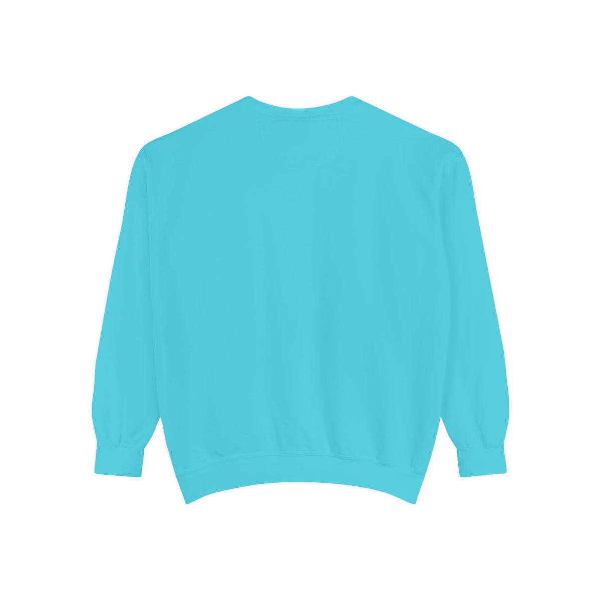 IYSED Premium Garment-Dyed Crewneck