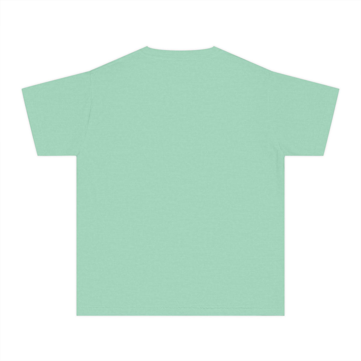 IYSED Youth Premium Heavyweight Tee