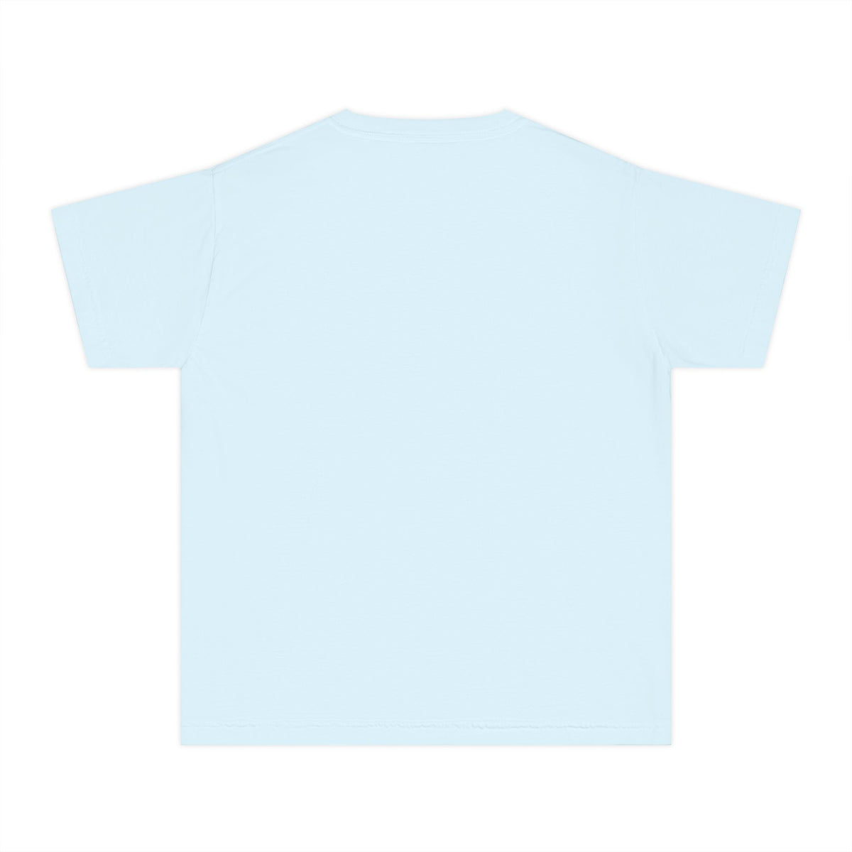 IYSED Youth Premium Heavyweight Tee