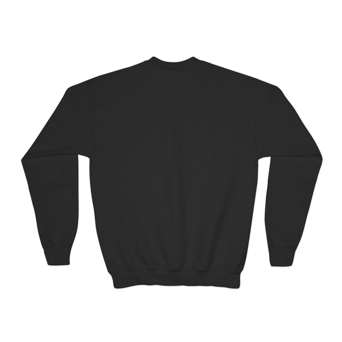 IYSED Youth Premium Crewneck